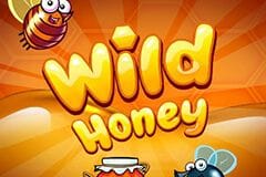 Wild Honey